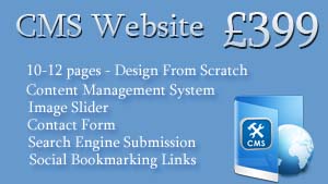 Business Website Package