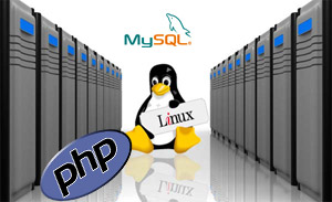 cheap linux website hosting sheffield